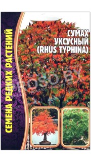 Сумах Уксусный