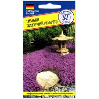 Тимьян (чабрец) Ползучий