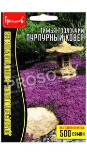 Тимьян (чабрец) Пурпурный ковер