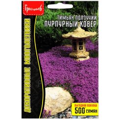 Тимьян (чабрец) Пурпурный ковер