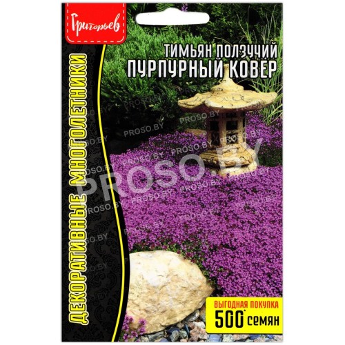 Тимьян (чабрец) Пурпурный ковер