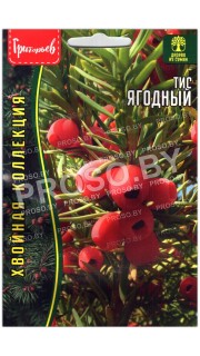 Тис Ягодный