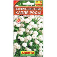 Тысячелистник Капля росы