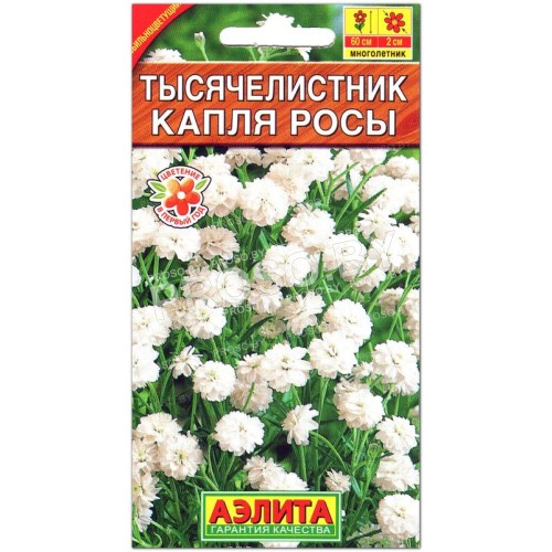 Тысячелистник Капля росы