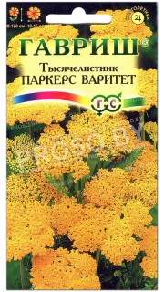 Тысячелистник Паркерс варитет