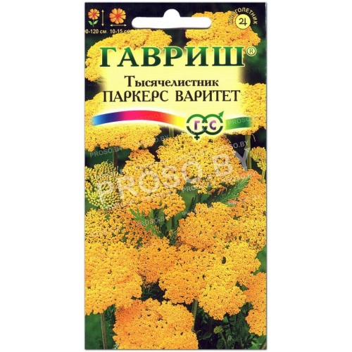 Тысячелистник Паркерс варитет