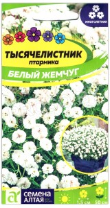 Тысячелистник птармика Белый жемчуг