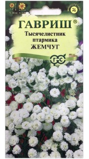 Тысячелистник птармика Жемчуг