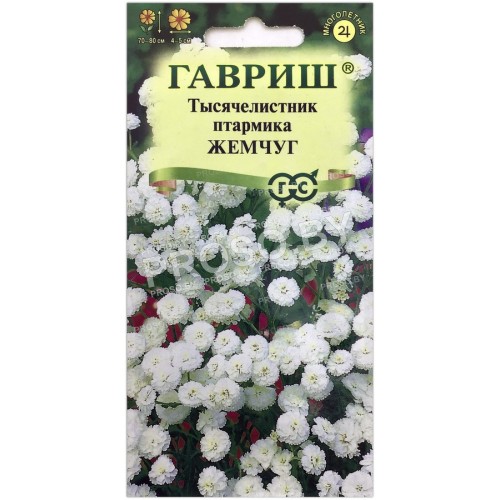 Тысячелистник птармика Жемчуг