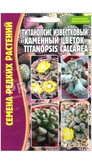 Титанопсис известковый Каменный цветок
