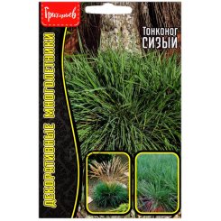 Тонконог Сизый