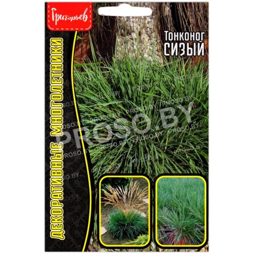 Тонконог Сизый