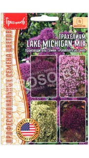 Трахелиум Lake michigan mix