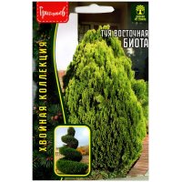 Туя восточная Биота