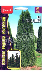 Туя Западная