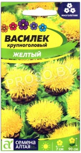 Василек крупноголовый Желтый