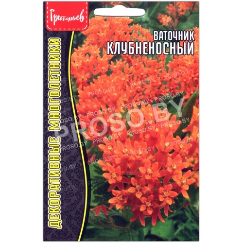 Ваточник Клубненосный