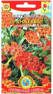 Ваточник Оранжевый