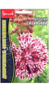 Ваточник Сирийский