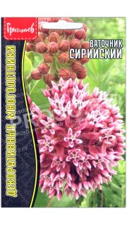 Ваточник Сирийский