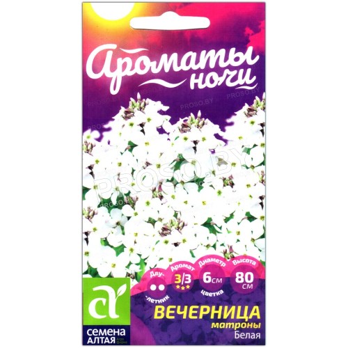 Вечерница Матроны белая