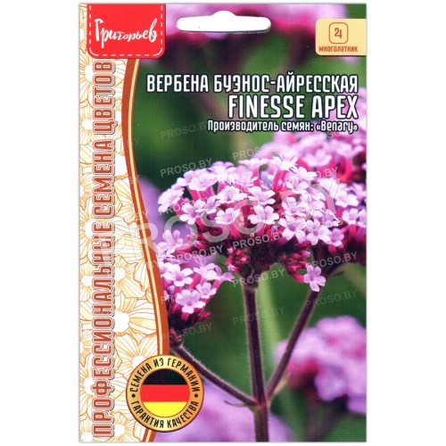 Вербена буэнос-айресская Finesse apex
