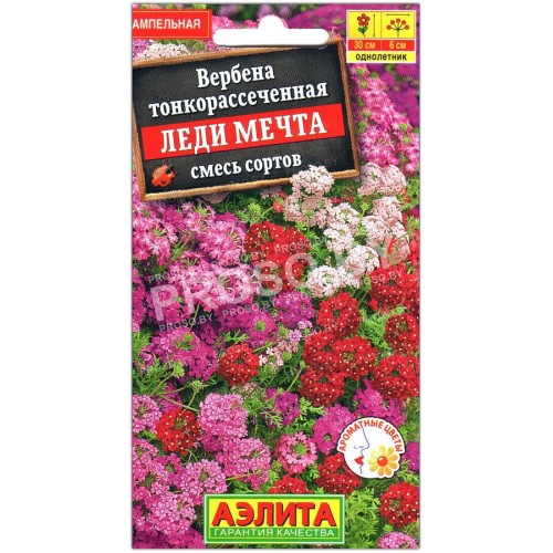 Вербена Леди мечта, смесь