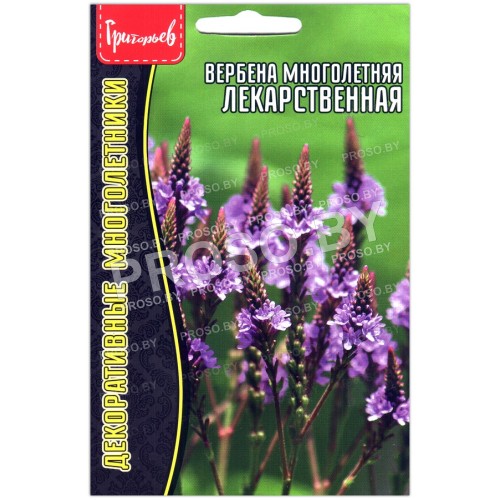 Вербена многолетняя Лекарственная