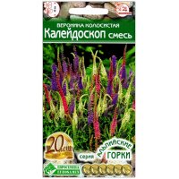 Вероника колосистая Калейдоскоп, смесь