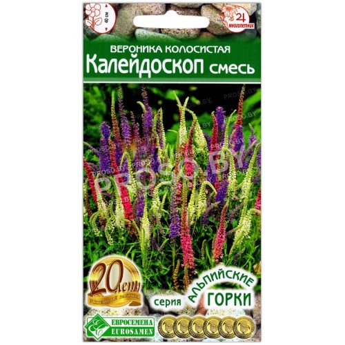 Вероника колосистая Калейдоскоп, смесь