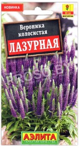 Вероника колосистая Лазурная
