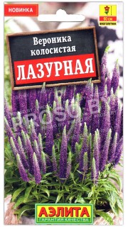 Вероника колосистая Лазурная