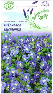 Вероника ползучая Шелковая кисточка