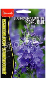 Вероника широколистная Royal Blue