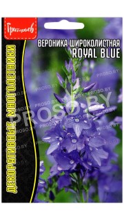 Вероника широколистная Royal Blue
