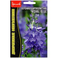 Вероника широколистная Royal Blue