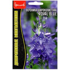 Вероника широколистная Royal Blue