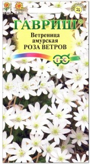 Ветреница амурская Роза ветров