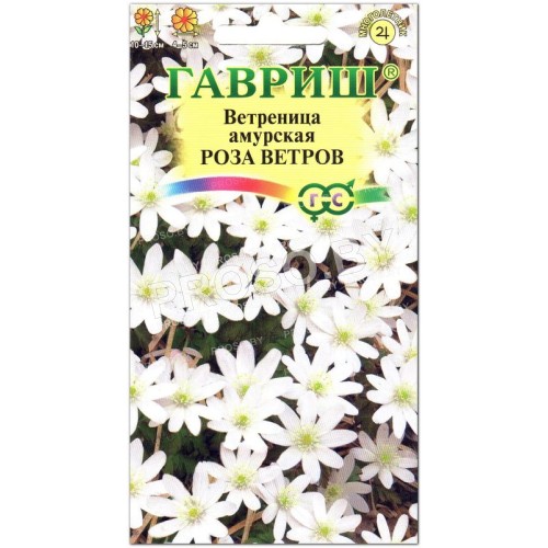 Ветреница амурская Роза ветров