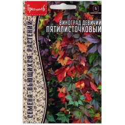 Виноград девичий Пятилисточковый