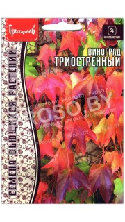 Виноград Триостренный