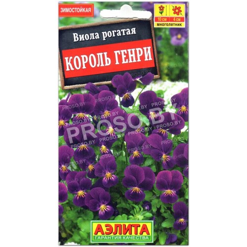Виола рогатая Король генри