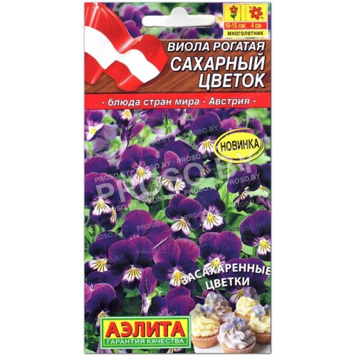Виола рогатая Сахарный цветок
