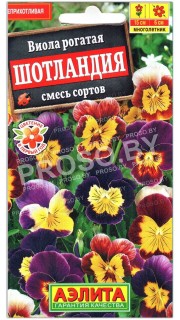Виола рогатая Шотландия, смесь