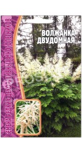 Волжанка Двудомная