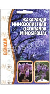 Жакаранда Мимозолистная
