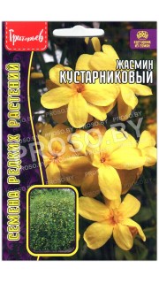 Жасмин Кустарниковый