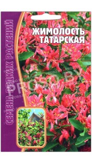 Жимолость Татарская