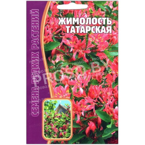 Жимолость Татарская