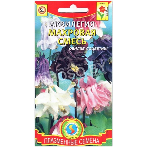Аквилегия Махровая, смесь-1